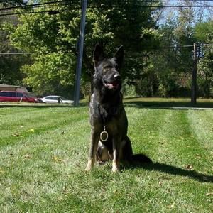 Meet your Posher, Marcus